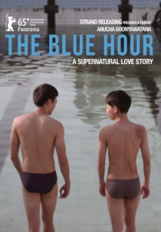 "The Blue Hour" (2015) DVDRip.x264-RedBlade