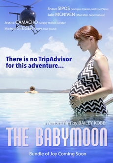 "The Babymoon" (2017) BDRip.x264-VoMiT