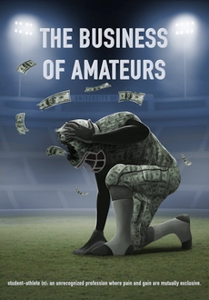 "The Business of Amateurs" (2016) DVDRip.x264-BiPOLAR