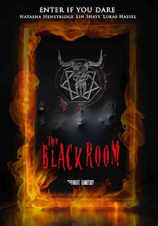 "The Black Room" (2016) WEB-DL.x264-FGT