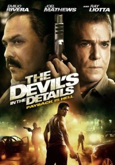 "The Devil's in the Details" (2013) DVDRip.XviD-VoMiT