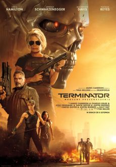 "Terminator: Dark Fate" (2019) PLDUB.BDRip.x264-PSiG