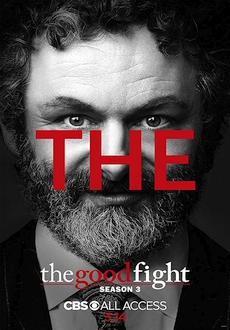 "The Good Fight" [S03E06] WEBRip.x264-TBS