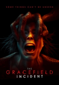 "The Gracefield Incident" (2017) HDRip.XviD.AC3-EVO