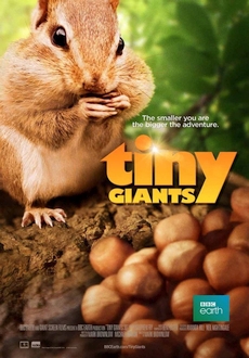 "Tiny Giants" (2014) BDRip.x264-VoMiT