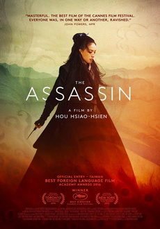 "The Assassin" (2015) BDRip.x264-ROVERS