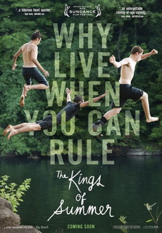 "The Kings of Summer" (2012) PL.BDRip.x264-PSiG