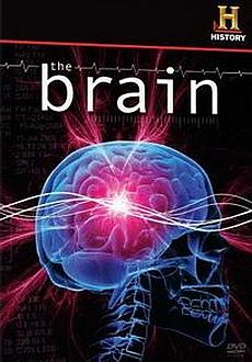 "The Brain" (2008) DVDRip.XviD-SPRiNTER