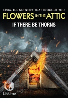 "If There Be Thorns" (2015) HDRip.XviD.AC3-EVO