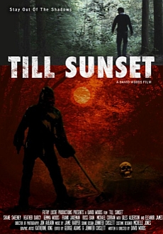 "Till Sunset" (2011) BDRip.x264-VoMiT