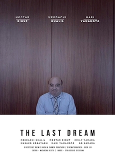 "The Last Dream (2017) SUBBED.BDRip.x264-BiPOLAR