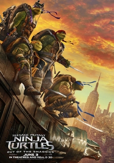 "Teenage Mutant Ninja Turtles: Out of the Shadows" (2016) PL.BDRiP.x264-PSiG