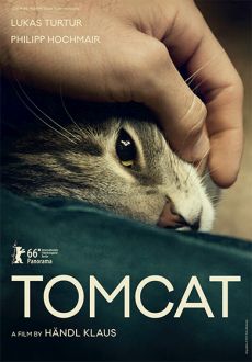 "Tomcat" (2016) SUBBED.DVDRip.x264-BiPOLAR