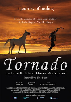 "Tornado Valley" (2009) STV.DVDRip.XviD-GFW