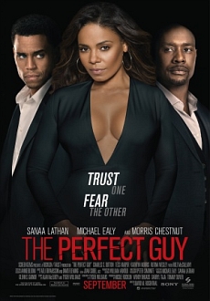 "The Perfect Guy" (2015) PL.BDRiP.x264-PSiG