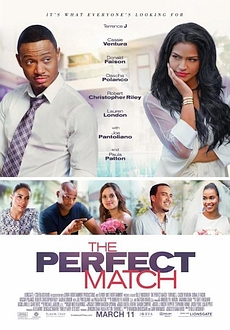 "The Perfect Match" (2016) BDRip.x264-GECKOS