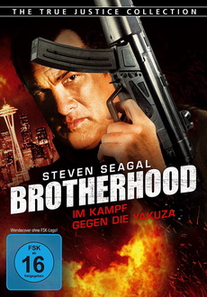 "True Justice: Brotherhood" (2011) PL.BDRip.XViD-PSiG