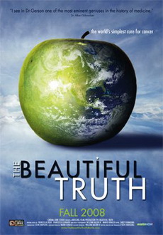 "The Beautiful Truth" (2008) DVDRip.XviD-IGUANA