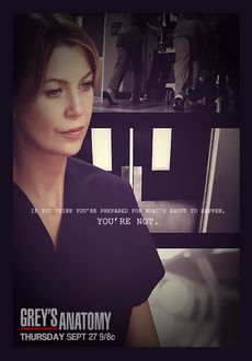 "Grey's Anatomy" [S09E17] HDTV.x264-LOL