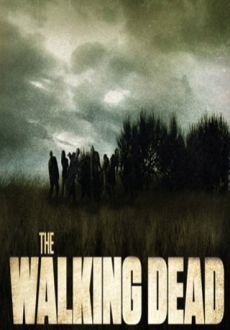 "The Walking Dead: Torn Apart" [S01] HDRip.XviD-T00NG0D