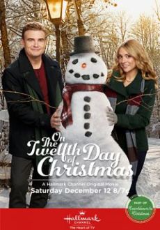 "On The Twelfth Day Of Christmas" (2015) HDTV.x264-W4F