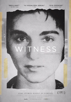 "The Witness" (2015) LIMITED.DVDRip.x264-RedBlade