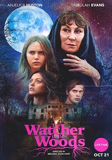 "The Watcher in the Woods" (2017) HDTV.x264-CRiMSON