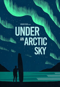 "Under an Arctic Sky" (2017) WEBRip.x264-ION10