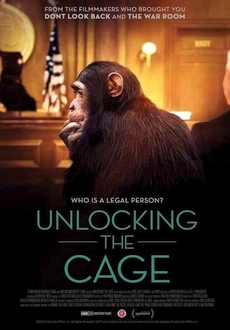 "Unlocking the Cage" (2016) WEBRip.x264-RARBG