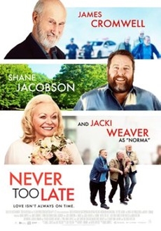 "Never Too Late" (2020) WEBRip.x264-ION10