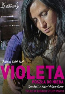 "Violeta se fue a los cielos" (2011) PL.DVDRiP.XViD-PSiG