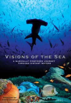 "Visions of the Sea" (2009) BDRip.XviD-DOCUMENT