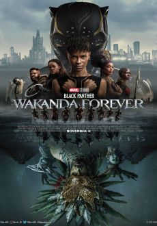 "Black Panther: Wakanda Forever" (2022) BDRip.x264-KNiVES