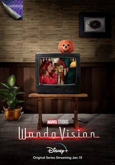 "WandaVision" [S01E06] WEBRip.x264-ION10