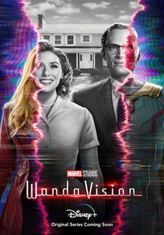 "WandaVision" [S01E08] WEBRip.x264-ION10