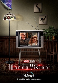 "WandaVision" [S01E05] WEBRip.x264-ION10