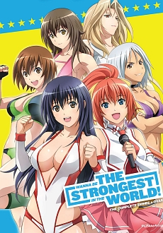 "Wanna Be the Strongest in the World!" [S01] BDRip.x264-WaLMaRT