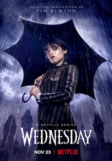 "Wednesday" [S01] WEBRip.x264-ION10