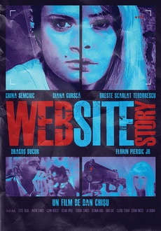 "WebSiteStory" (2010) DVDRip.XviD-LAP