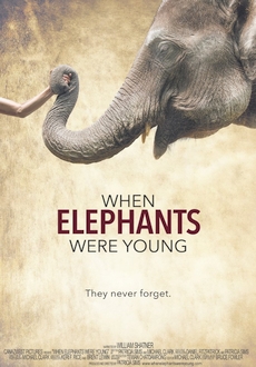 "When Elephants Were Young" (2016) BDRip.x264-W4F