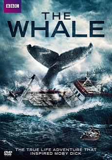 "The Whale" (2013) BDRiP.X264-TASTE