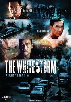 "The White Storm" (2013) BRRip.x264-RARBG