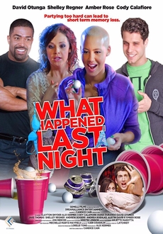 "What Happened Last Night" (2016) WEB-DL.x264-FGT