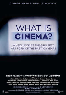 "What Is Cinema?" (2013) BDRip.x264-BiPOLAR