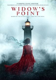 "Widow's Point (2020) HDRip.XviD.AC3-EVO