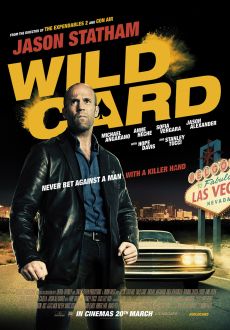 "Wild Card" (2015) EXTENDED.HDTV.XviD-AFG