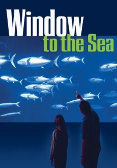 "Window to the Sea" (2006) DOCU.DVDRip.XviD-SPRiNTER