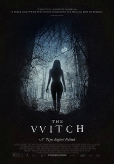 "The Witch" (2015) PL.BDRip.x264-FLAME