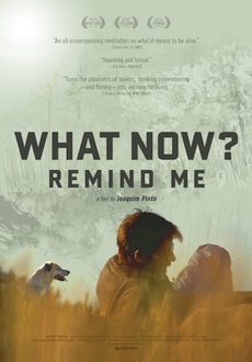 "What Now? Remind Me" (2013) LIMITED.DVDRip.x264-BiPOLAR