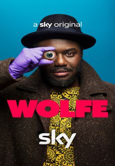 "Wolfe" [S01] BDRip.x264-DOGS